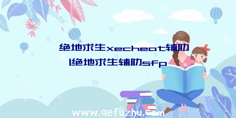 「绝地求生xecheat辅助」|绝地求生辅助sfp